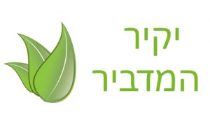 מדביר